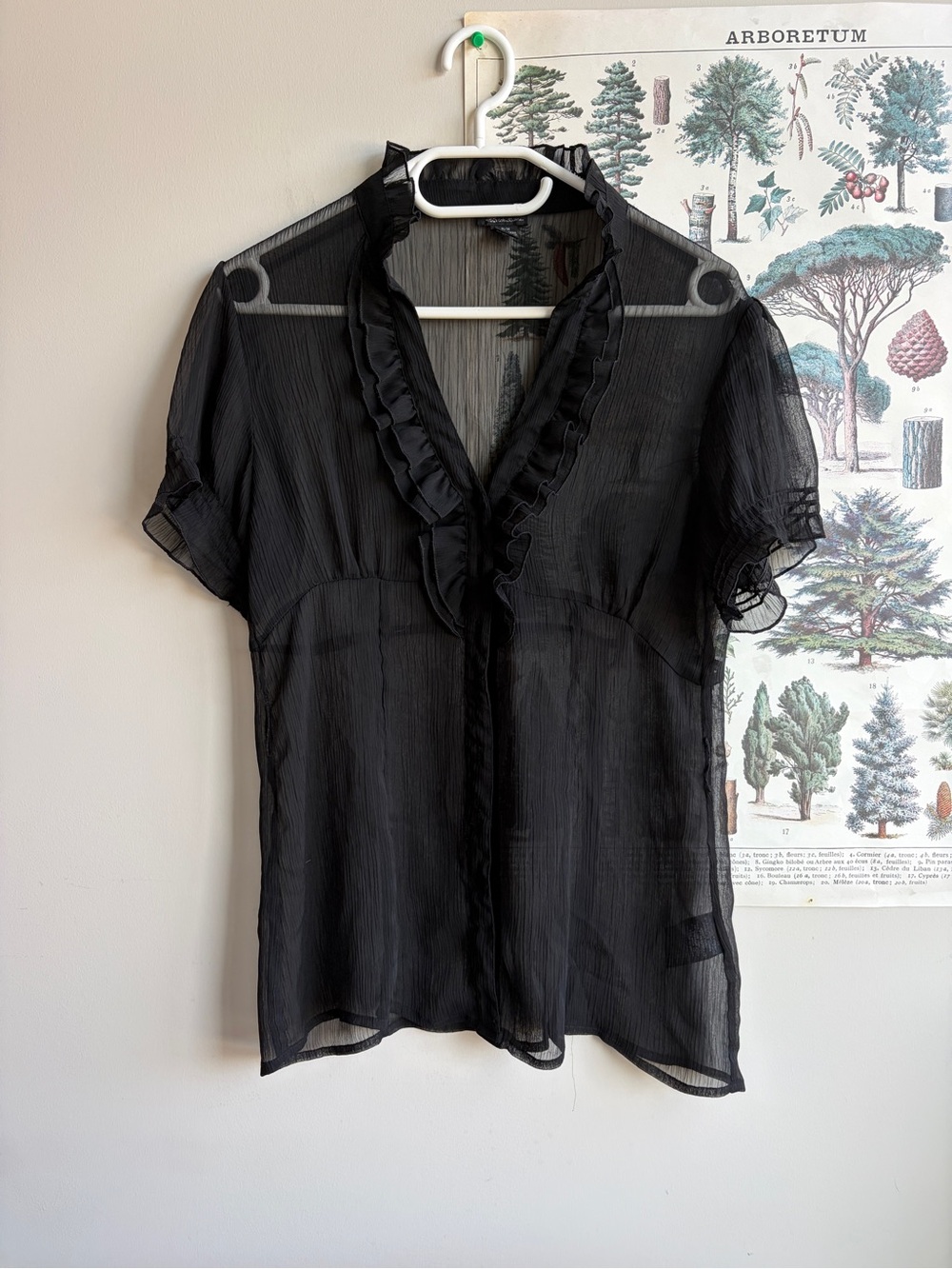Sheer Black Ruffle V-Neck Women's Top Medium